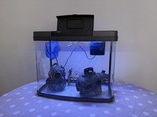 Love fish panorama for sale  LONDON