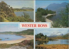 Scotland postcard wester for sale Scotland postcard wester for sale  WATERLOOVILLE