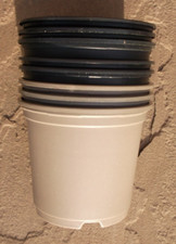 Size plastic plant for sale  LINCOLN
