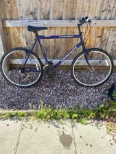 Gents mans mountain for sale  NESTON