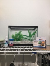 2.5 gallon glass for sale  Sebastian