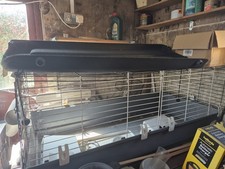 Indoor hutch rabbit for sale  LEIGH-ON-SEA
