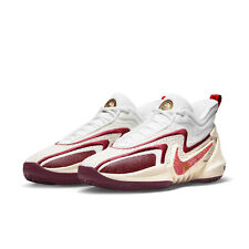 Nike herren schuhe gebraucht kaufen  Westeregeln