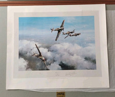 Hurricane robert taylor for sale  NORTHWICH