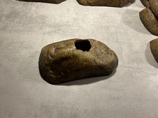 Exo terra crystal gebraucht kaufen  Königsbronn