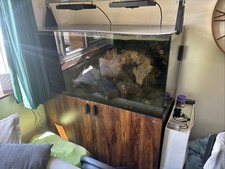 Red sea max for sale  BUCKLEY