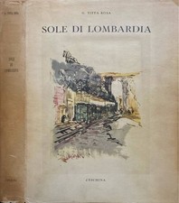 Sole lombardia. titta usato  Italia