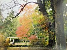 Autumn back yard for sale  Steamboat Springs