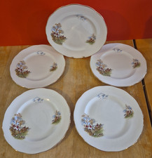 Regency bone china for sale  BEDFORD
