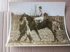 Original 1920s horse for sale  STOCKPORT