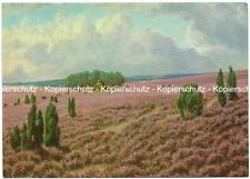 Postkarte blühende heide gebraucht kaufen  Deutschland