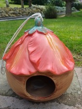 Cabbage syle bird for sale  GLOSSOP