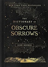 The dictionary bscure gebraucht kaufen  Berlin