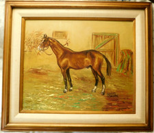 Listed american constance for sale  Nokesville