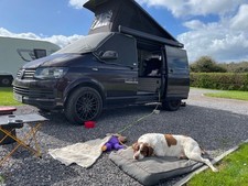 2017 transporter camper for sale  WATERLOOVILLE