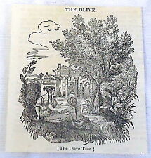1832 magazine engraving for sale  Wilmington