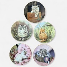 Kitten classics plate for sale  DONCASTER