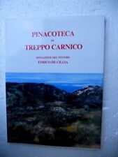 Pinacoteca treppo carnico usato  Trivignano Udinese