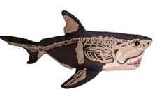 Rare megalodon skeleton for sale  Benton City