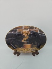 Five dine nigel for sale  Nampa