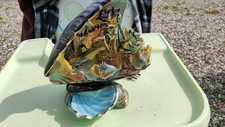 Lampe moule coquillage d'occasion  Criquetot-l'Esneval