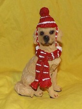 Winter golden retiever for sale  Deltona