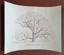 Birnam oak sole for sale  HAYWARDS HEATH