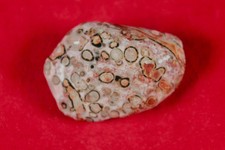 Leoparden jaspis mexiko gebraucht kaufen  Lorsch