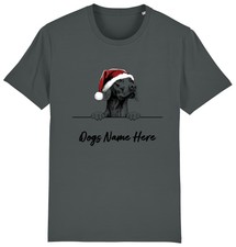 Vizsla personalised christmas for sale  PONTYPRIDD