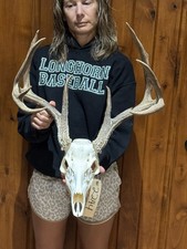 145 whitetail deer for sale  Harper
