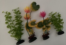 assorted aquarium plants for sale assorted aquarium plants for sale Round Rock