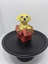 Collectible small pups for sale Collectible small pups for sale  CANTERBURY