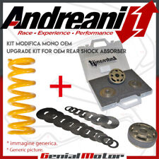 Andreani upgrade mono usato  Italia