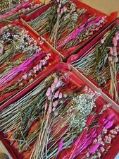 Large dried flower for sale  WESTGATE-ON-SEA