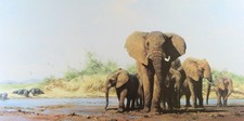 David shepherd evening for sale  CHERTSEY