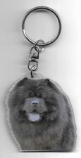 Chow chow porte d'occasion  Concarneau