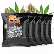 Highlig black booster gebraucht kaufen  Nordstemmen