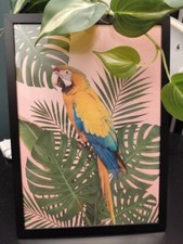 Quadro tropicale con usato  Noci
