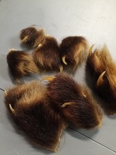 wolverine claws for sale wolverine claws for sale Valley Cottage