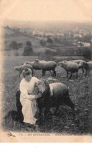 51348 nivernais . d'occasion  France