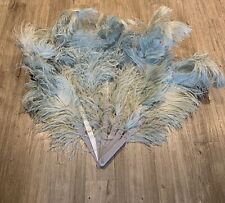 Gorgeous burlesque ostrich for sale  WOKING