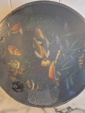 Remo ocean drum for sale  Burt