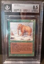 War mammoth bgs usato  Castelfranco di Sotto