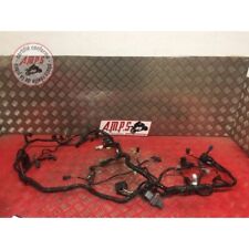 Faisceau électrique principal d'occasion Faisceau électrique principal d'occasion  France