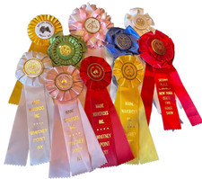 Lote de 10 fitas de show de cavalos dos anos 1990-00 rosetas artesanato NY State Fair Cobleskill comprar usado  Enviando para Brazil