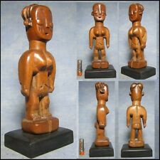 Venavi ewe togo d'occasion Venavi ewe togo d'occasion  Val-de-Reuil