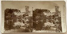 Usado, Cuba La Avana Giardino Botanica c1900 Foto Stereo Analogica P75L3n comprar usado  Enviando para Brazil