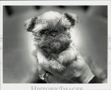1982 press photo for sale  Memphis