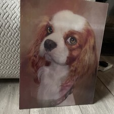 Dog picture for sale  BRISTOL