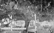 California postcards grape for sale  Midlothian